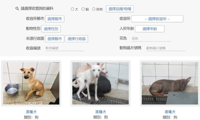 完善的搜索系統可以快速找到各個區域的浪浪們,圖片來源:全國動物收容資訊網