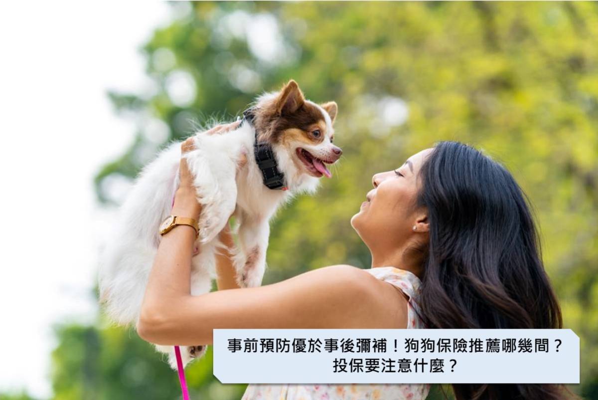 事前預防優於事後彌補！狗狗保險推薦哪幾間？投保要注意什麼？