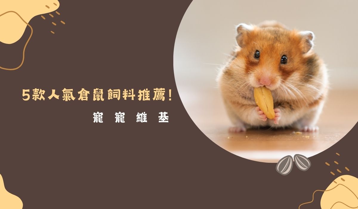 5款人氣倉鼠飼料推薦！鼠奴們會挑飼料了嗎？