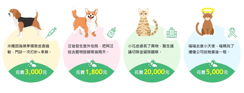 國泰貓保險
