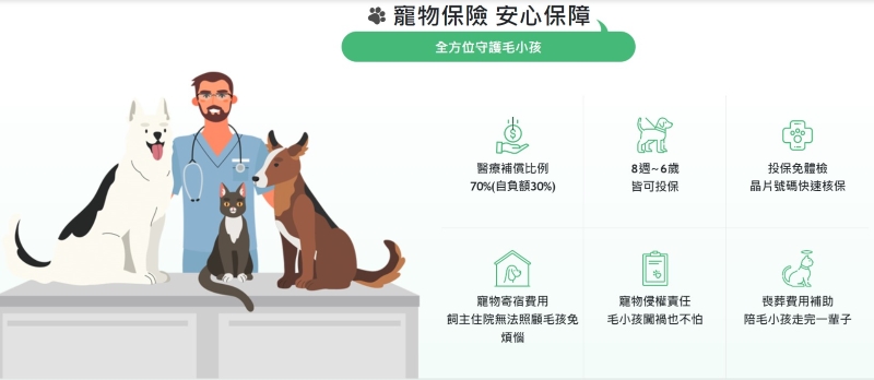 國泰貓保險