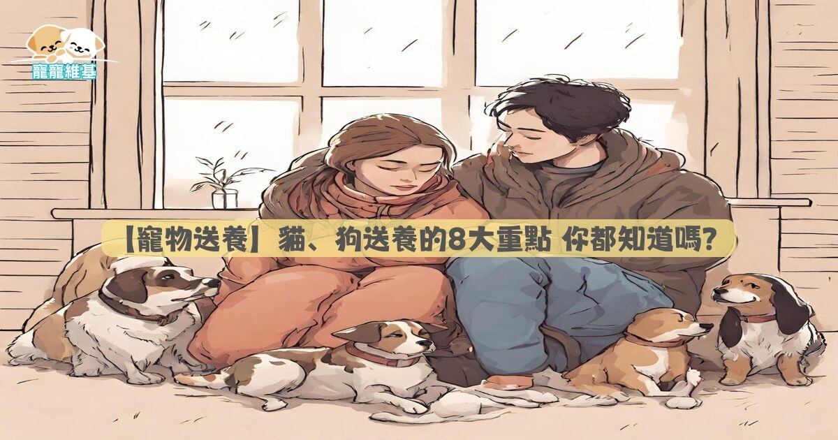 【寵物送養】貓、狗送養的8大重點 你都知道嗎？