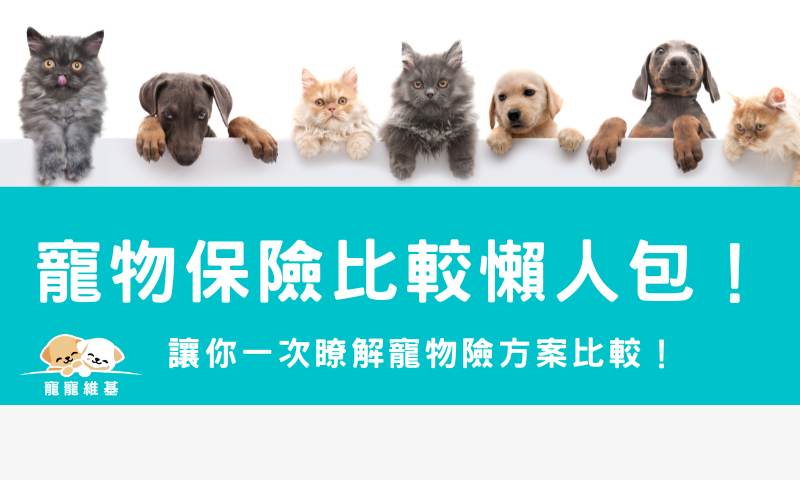 2024寵物保險比較懶人包！讓你一次瞭解寵物險方案比較！