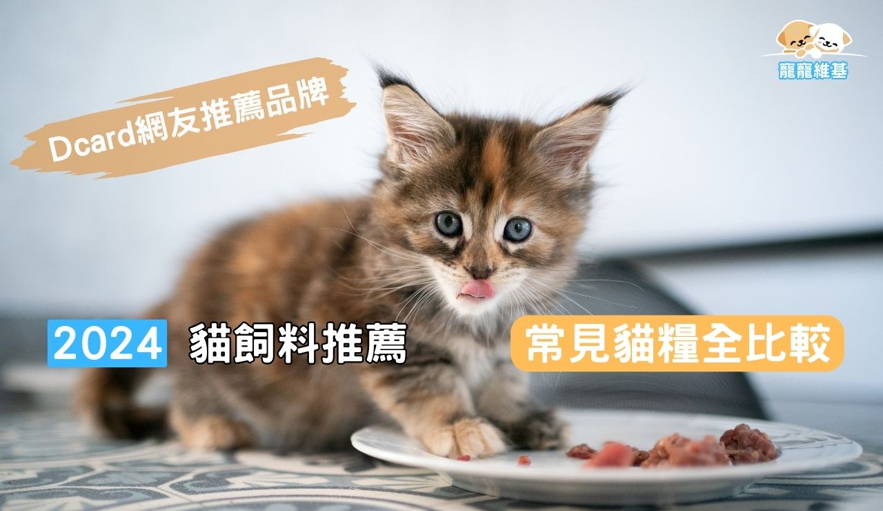 貓飼料推薦
