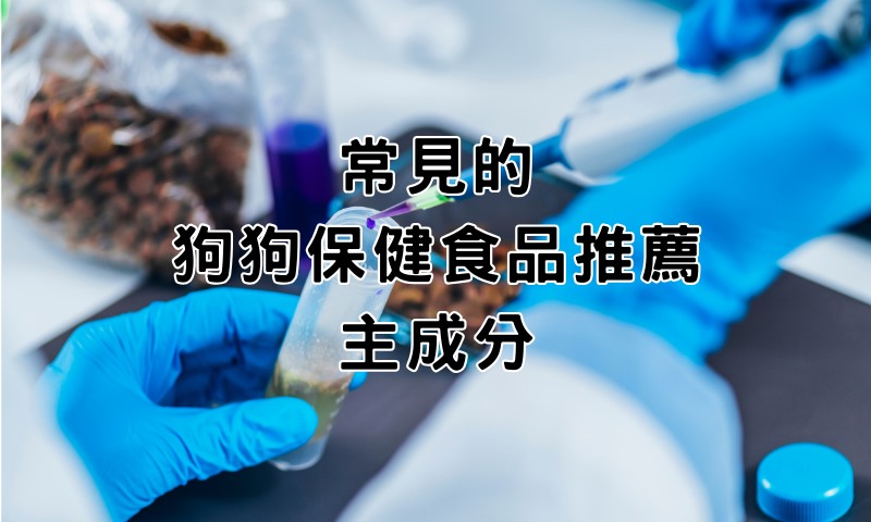 市面上常見的狗狗保健食品推薦主成分