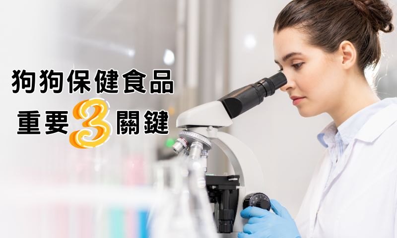 毛爸媽購買狗狗保健食品前,最重要的三個關鍵