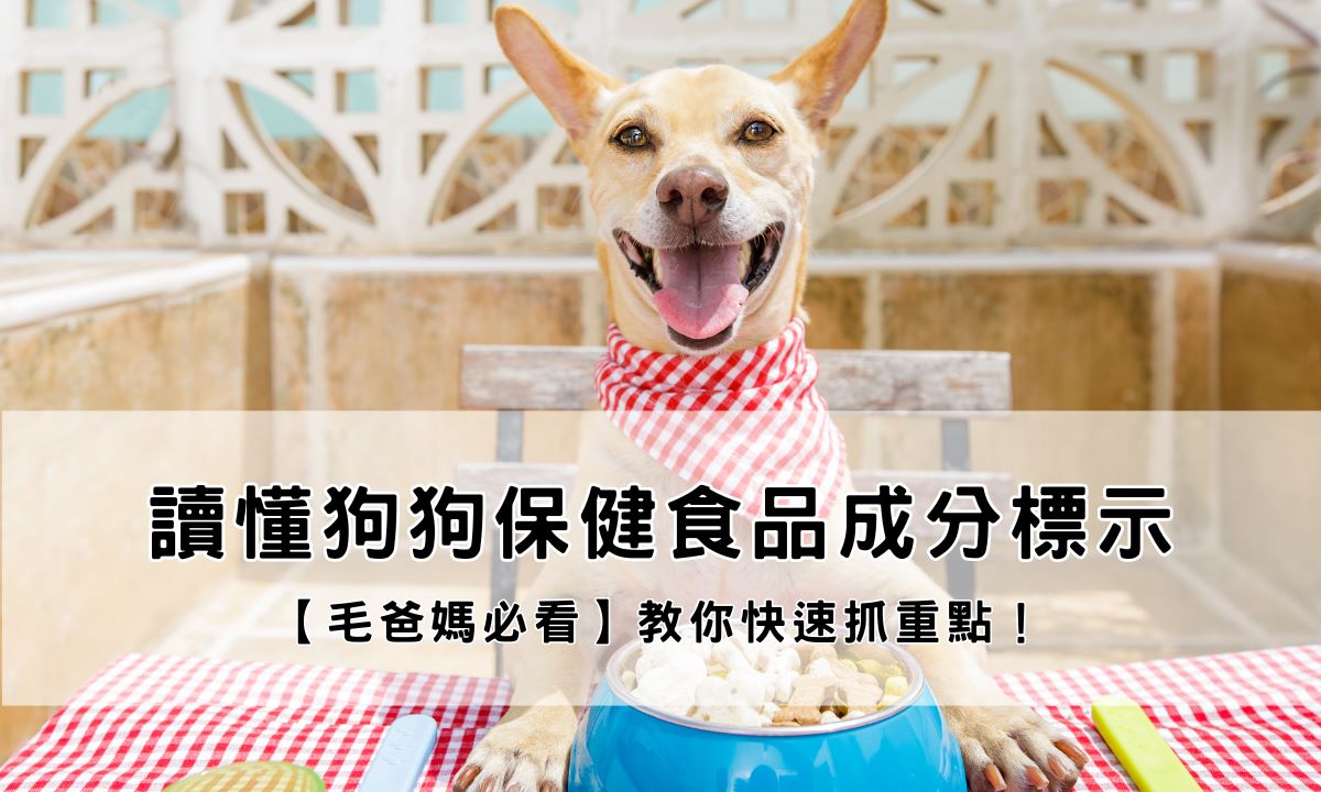 【毛爸媽必看】讀懂狗狗保健食品成分標示！教你快速抓重點