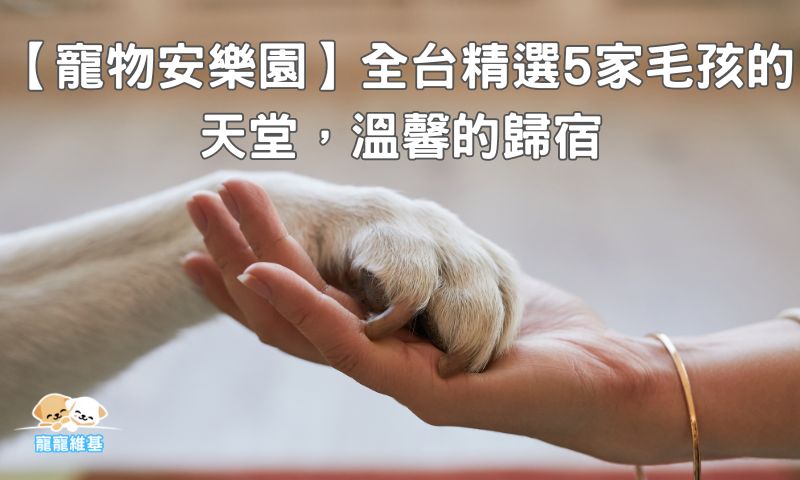 【寵物安樂園】全台精選5家毛孩的天堂，溫馨的歸宿