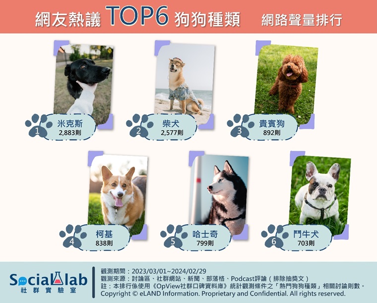 Social Lab-2024年狗狗網路聲量TOP6