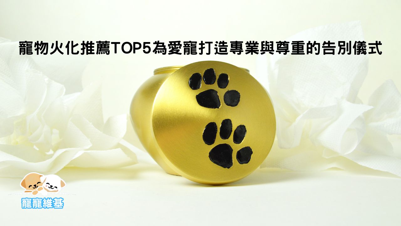 寵物火化推薦TOP5為愛寵打造專業與尊重的告別儀式
