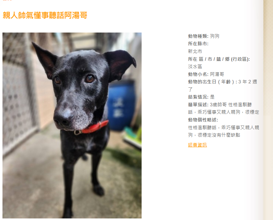 清楚打出送養狗狗資訊、地點、現況有助於了解狗狗!