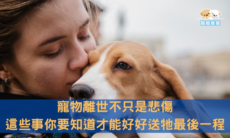 寵物離世不只是悲傷，這些事你要知道才能好好送牠最後一程